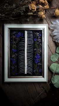 Image 2 of Spine and Ribs Floral Desktop Frame