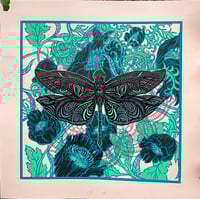 Image 1 of " LIBELLUS"