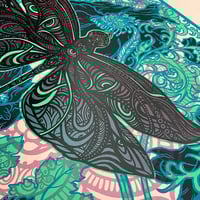 Image 3 of " LIBELLUS"