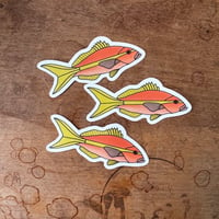 Image 2 of Yellowtail Snapper Sticker