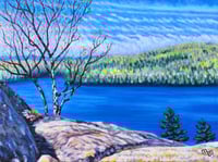 Image 1 of Spring Birch