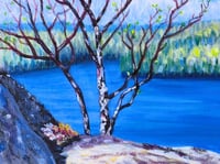 Image 2 of Spring Birch