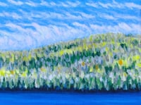 Image 4 of Spring Birch