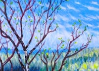Image 5 of Spring Birch