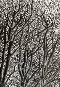 Image 2 of ‘Winter Beeches’ Original Lino Print