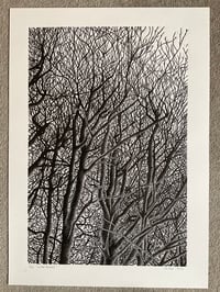 Image 1 of ‘Winter Beeches’ Original Lino Print