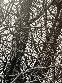 Image 2 of ‘Winter Boughs’ Original Lino Print