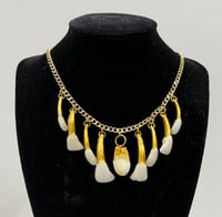 Image 1 of Deer Teeth necklace