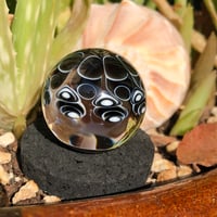 Image 3 of Dotted Marble