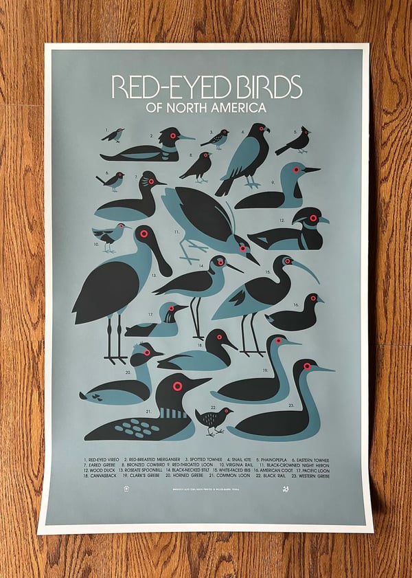 Image of Red-Eyed Birds Silkscreen Print