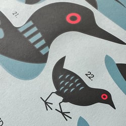 Image of Red-Eyed Birds Silkscreen Print