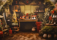 Image 1 of NOVEMBER 17TH - CHRISTMAS SESSION