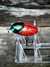 D-Bug