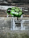 D-Turtle