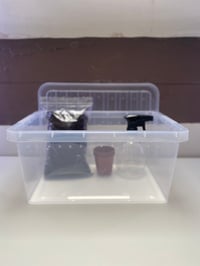 Image 1 of Giant African Land Snail Enclosure 11L