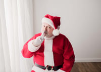 Image 7 of November 30, 2024 Santa Mini Session