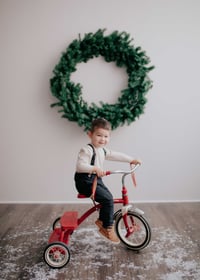 Image 5 of {Sharon PTO} 12/1/24 Family Mini Sessions