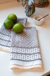 Napkin & Dishtowel Fall