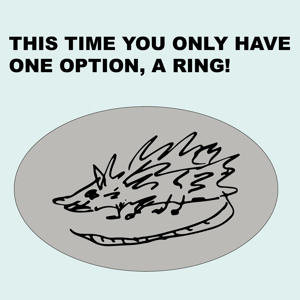 WOW! SPECIAL! LIMITED! EDITION! RING!