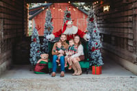 Image 2 of SANTA MINIS 12 /2