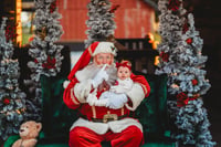 Image 5 of SANTA MINIS 12 /2