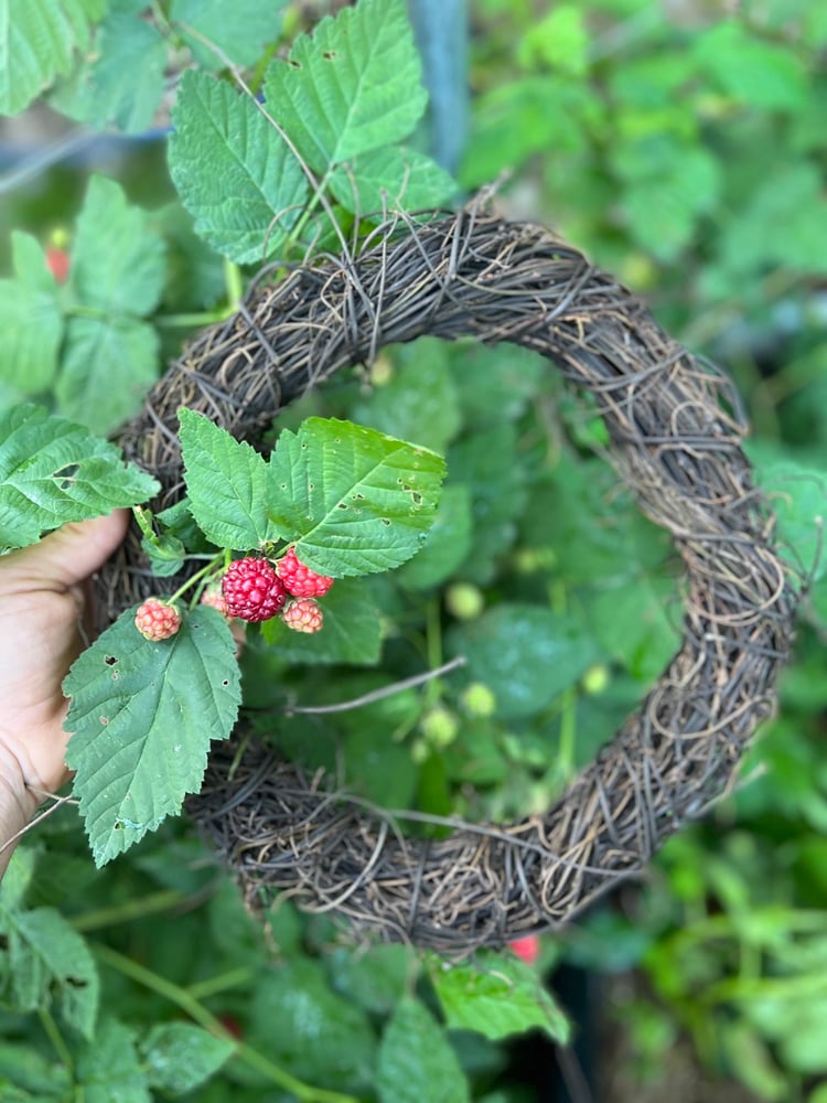 Image of Wreath Workshop Dec 7th - AM 