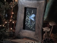 Image 1 of Dragonfly Framed Original Art