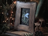 Image 4 of Dragonfly Framed Original Art