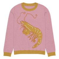 Image 1 of Shrimpies Knitted crew neck sweater