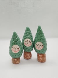Teeny tiny Pine Trees 