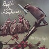 Build Us Airplanes - All Things Expire 12" LP