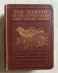 Image 1 of The Birds of the British Isles and their eggs (1)