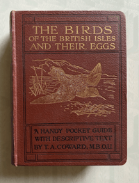 Image 1 of The Birds of the British Isles and their eggs (2)