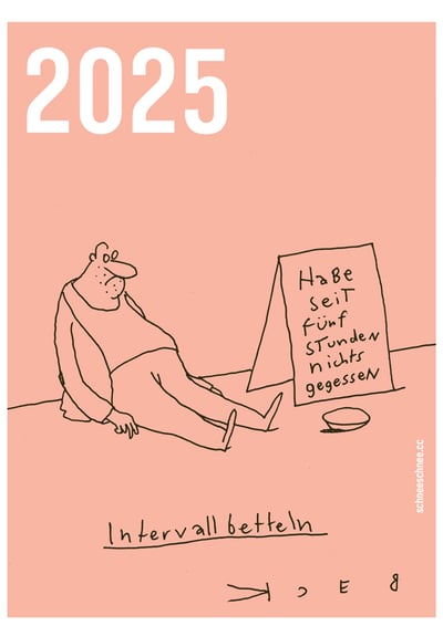 Image of 2025 Cartoon-Kalender SE