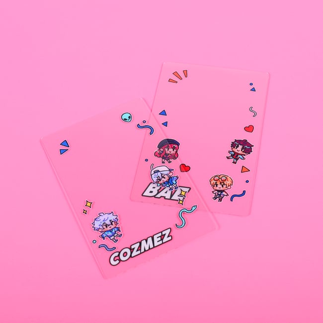 Paralive Visty & 1Nm8 photocards