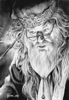 Albus Dumbledore 