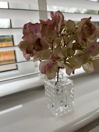 Image 1 of Small Decanter Style Vase 