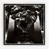 Image 2 of KRIEG // WITHDRAWAL *SPECIAL EDITION*