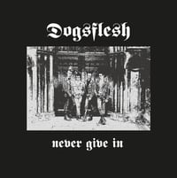 DOGSFLESH Never Give In LP *restock*