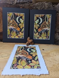 Image 4 of small mounted Autumn moonfox