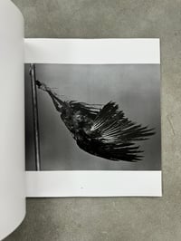 Image 4 of The Solitude of Ravens - Masahisa Fukase 