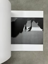 Image 7 of The Solitude of Ravens - Masahisa Fukase 