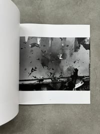 Image 8 of The Solitude of Ravens - Masahisa Fukase 