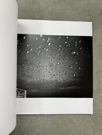 Image 13 of The Solitude of Ravens - Masahisa Fukase 