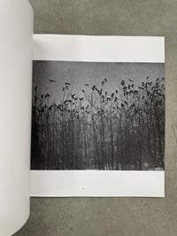 Image 14 of The Solitude of Ravens - Masahisa Fukase 