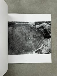 Image 15 of The Solitude of Ravens - Masahisa Fukase 