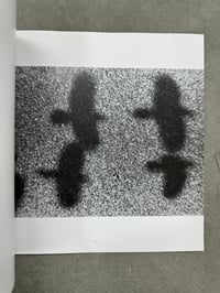 Image 3 of The Solitude of Ravens - Masahisa Fukase 