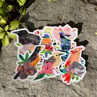Image 1 of Bird Collage Sticker Set