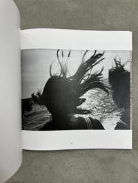 Image 5 of The Solitude of Ravens - Masahisa Fukase 