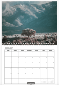 2025 Taos Calender